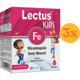 Lectus Kids Demir Mikroenkapsüle Demir Minerali Damla 30 ml - 3 Adet (Toplam 90 Ml) - Dezenfektan Hediyeli (%72 Alkol)