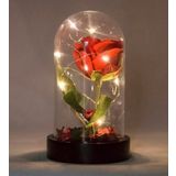 Led Işıklı Fanus İçinde Kırmızı Yapay Gül