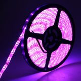 Led İthalat Trafo 12.5 Amper + 3 Çipli Iç Mekan Şerit LED - Pembe - 10 m