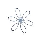 ledchord LEVENT Papatya Siyah Modern Sarkıt 60 cm Beyaz Işık Salon Mutfak Oda Hol Ledli Avize