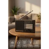 L'eDoren Siyah NS-8153 Taşınabilir Pilli Cep Radyosu Deprem Çantası Radyosu Am Fm SW-1-6 8 Bandlı Mini Radyo NS-8153 Siyah