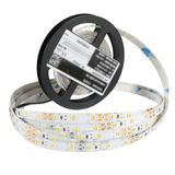 Ledronics Premium Samsung Çipli 12V Nano Hybrid Şerit LED - Dış Mekan IP65 Su Geçirmez, 12W/Mt 8mm 60 LED, 10000K - Beyaz, 20 Metre