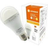Ledvance 8 Watt (60W) 2700 Kelvin (Sarı Işık) E27 Duylu Şarj Edilebilir 806 Lümen LED Ampul