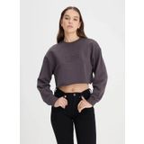 Lee Bisiklet Yaka Siyah Kadın Sweatshırt L241261ON-Bisiklet Yaka Sweatshirt