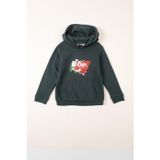 Lee Cooper Brush Erkek Çocuk Kapüşonlu Sweatshirt Yeşil