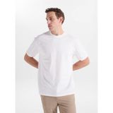 Lee Cooper Loose Fit Logo Baskılı T-Shirt, M, 5003355107, Ekru, Erkek
