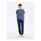 Lee Cooper Regular Straight Chino Pantolon, M, 5003354775, Lacivert, Erkek