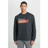 Lee Regular Fit Normal Kesim Bisiklet Yaka Siyah Erkek Içi Polarlı Sweatshirt