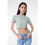 Lee Slim Fit Dar Kesim Bisiklet Yaka Kadın Yeşil Crop Çok Renkli Esnek Tişört