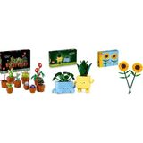 Lego 10329 + 10349 + 40524 Botanicals Seti 190