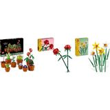 Lego 10329 + 40460 + 40747 Botanicals Seti 158