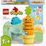 Lego 10981 Duplo İlk Büyüyen Havucum