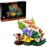 Lego 11505 Botanicals Orman Mantarları 18+ Yaş 806 Parça