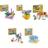 Lego 31169 + 31149 + 31129 + 31163 + 31174 Creator Seti 364