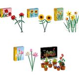 Lego 40460 + 40524 + 40747 + 40647 + 10329 Botanicals Seti 332