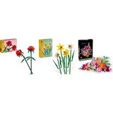Lego 40460 + 40747 + 10342 Botanicals Seti 156