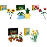 Lego 40524 + 10349 + 40460 + 10329 + 40747 Botanicals Seti 371