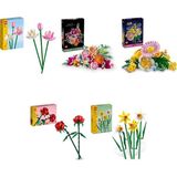 Lego 40647 + 10342 + 10347 + 40460 + 40747 Botanicals Seti 330
