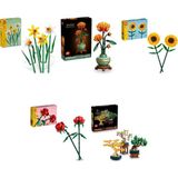 Lego 40747 + 10368 + 40524 + 40460 + 10373 Botanicals Seti 370