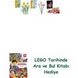 Lego 40747 + 40647 + 10342 Botanicals Seti 167