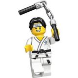 Lego 71027 Series 20 Minifigür 10. Martial Arts Boy