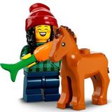 Lego 71032 Minifigür Seri 22