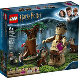 Lego 75967 Harry Potter Yasak Orman Grawp Umbridge Karşılaşması