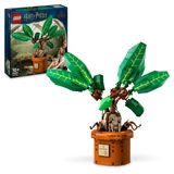 Lego 76433 Harry Potter 579 Parça Adamotu