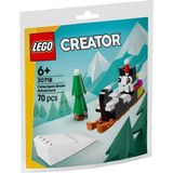 Lego Creator 30718 Mırmır Pati Kar Macerası