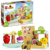 Lego Duplo 10983 İlk Organik Manav