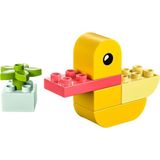Lego Duplo 30673 My First Duck