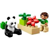 Lego Duplo 6173 Panda
