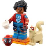 LEGO Minifigures 71050 Spider-Man: Across the Spider-Verse Series : 6.Pavitr Prabhakar / Spider-Man