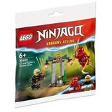 Lego Ninjago 30650 Renkli Kai And Raptons Temple Battle