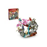 Lego ® Nınjago® Ejderha Taşı Tapınağı 71819 - 13+ Gençler İçin Yaratıcı Oyuncak Yapım Seti (1212P)