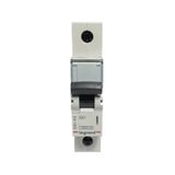 Legrand 403202 XS3 Tek Kutuplu Otomatik Sigorta
