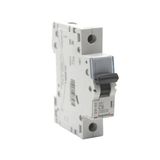 Legrand 403327 XS3 Tek Kutuplu Otomatik Sigorta