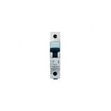 Legrand 403329 Otomatik Sigorta C Tipi 1 Fazlı 16 Amper 4,5kAXS3 1X16 C TİPİ 4,5 KA OTOMAT T693339-1-1