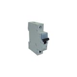Legrand 403637- Otomatik Sigorta 6ka, 6A, 1p (C Tipi) - 6 A