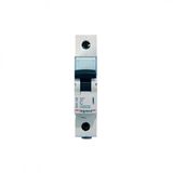 Legrand 403640 1x20a C Tipi 6ka Xg3 Otomatik Sigorta