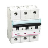 Legrand 408662 DX3 3 Kutuplu C80 10kA Otomatik Şalter