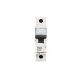 Legrand 433642 1x32A 6 kA C Tipi XG6 Otomatik Sigorta