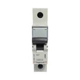 Legrand 433645 1x63A 6 kA C Tipi XG6 Otomatik Sigorta