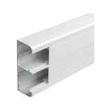 Legrand 638040 DLP 50x130 Kablo Kanalı ve Kapak
