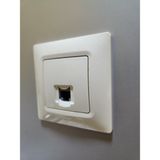 Legrand 767429 Legrand Salbei Bej Krem RJ11 Çerçeveli Telefon Priz