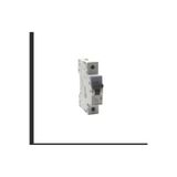 Legrand ekim aydınlatma MONOFAZE 1P* B16 OTOMATİK SİGORTA W OTOMAT