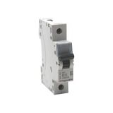 Legrand Monofaze 1X10A B Tipi Otomatik Sigorta 4,5ka 403203 - 10 A