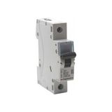 Legrand Monofaze 1X32A B Tipi Otomatik Sigorta 4,5ka 403207 / 433207 - 32 A