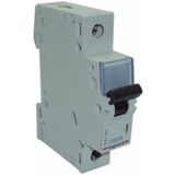 Legrand Monofaze 1x32a B Tipi Otomatik Sigorta 4,5ka
