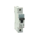 Legrand Monofaze 1X63A B Tipi Otomatik Sigorta 4,5ka 403210 / 433210 - 63 A